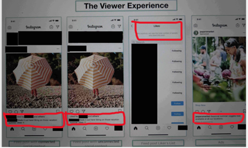 Figure 2 – Project Daisy Prototype for “The Viewer Experience”