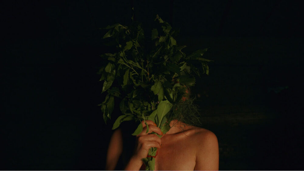 Photograph of a person holding plants in front of their face