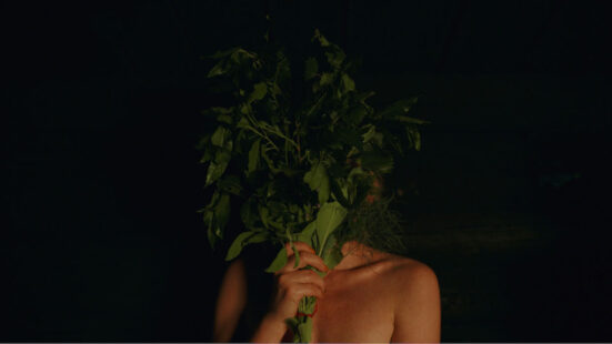 Photograph of a person holding plants in front of their face