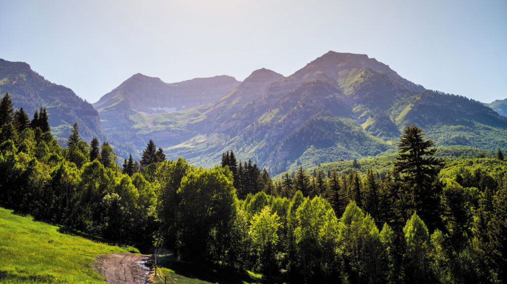 Photograph of mountains and trees
