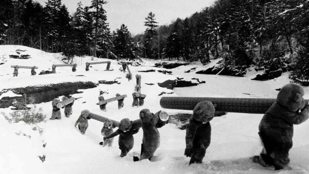 Beavers transporting logs along a snowy trail