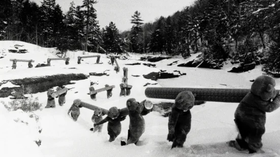 Beavers transporting logs along a snowy trail