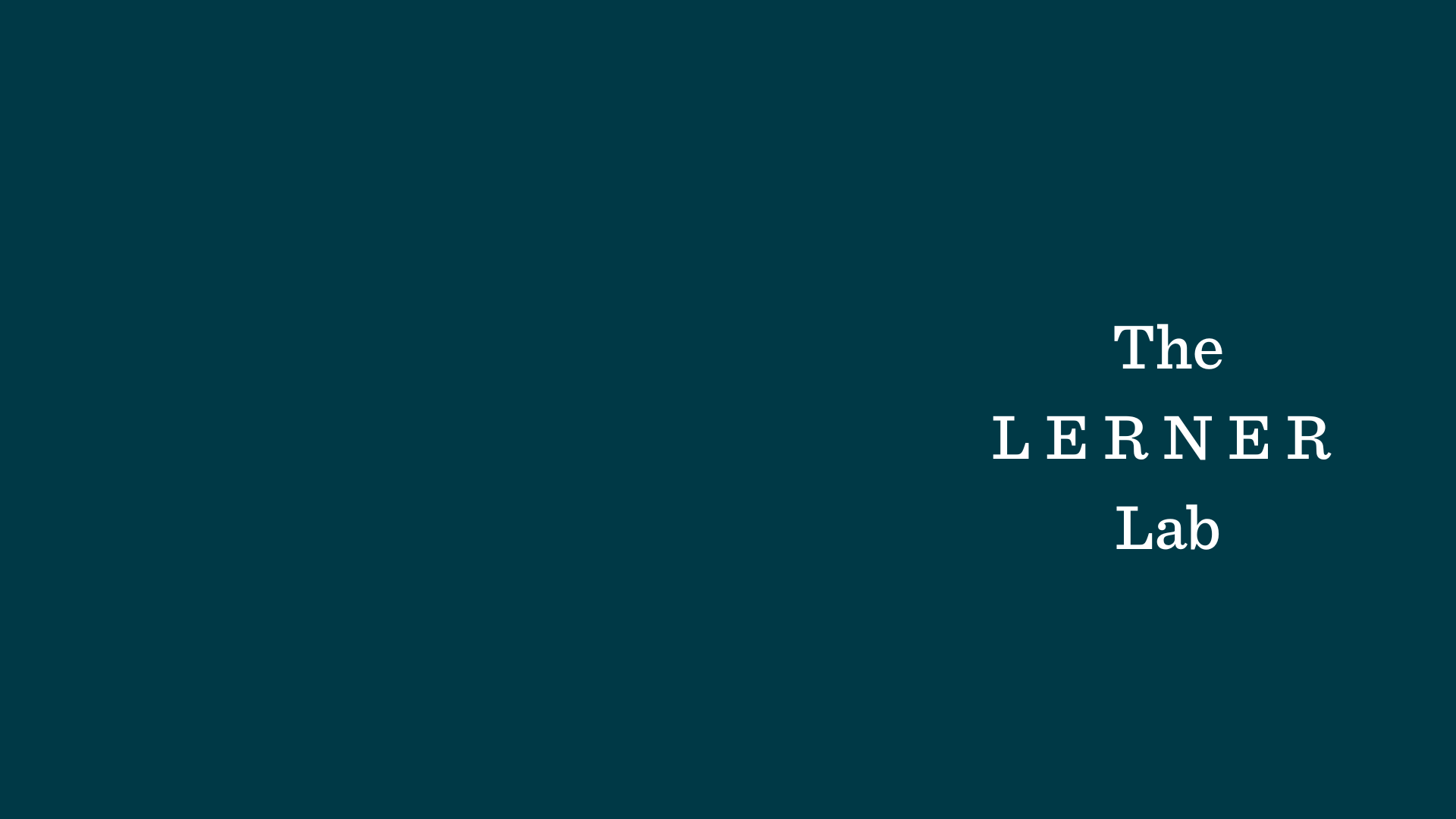 text wordmark of the name of The Lerner Lab