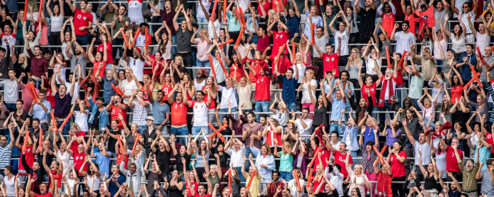 fans celebrate in the stands of a staium